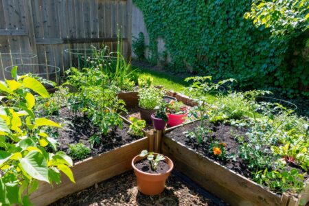 Eureka! Success with Fallowing, Raised Beds & Fall Gardening